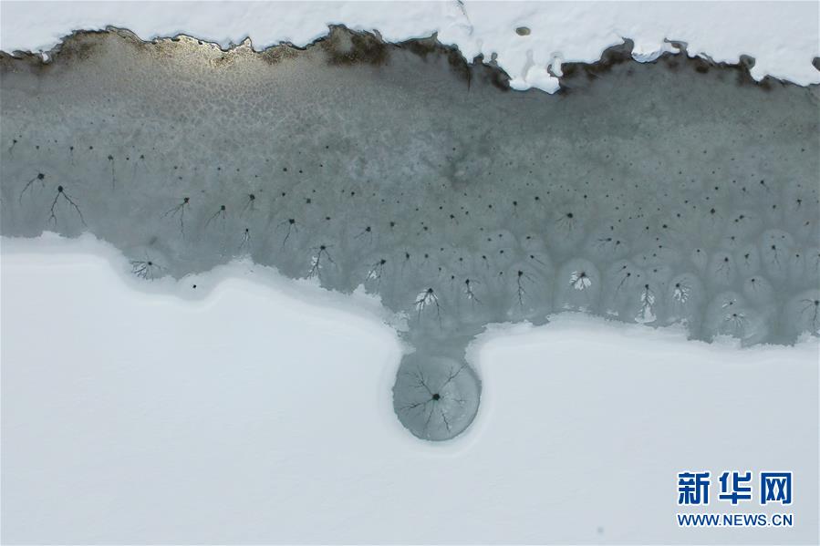 （環境）（2）雪后青海湖