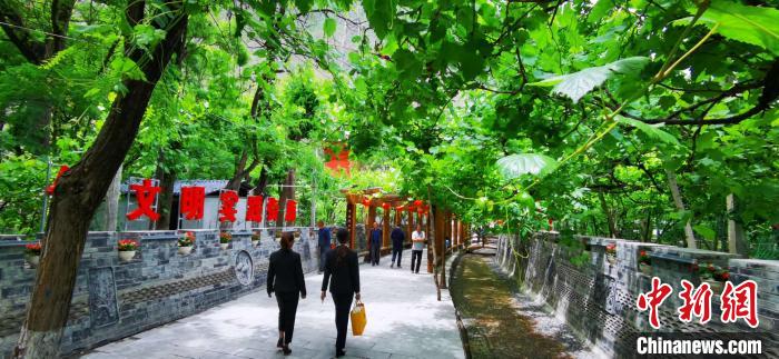 甘肅“藏鄉江南第一村”：葡萄村落打造“醉”美農家
