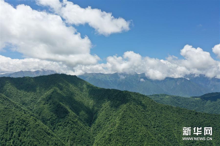 （新華視界）（1）甘肅舟曲：夏日藏鄉畫中景