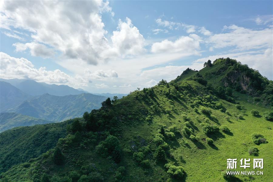 （新華視界）（3）甘肅舟曲：夏日藏鄉畫中景
