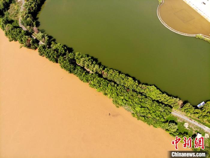 圖為2020年9月3日航拍黃河蘭州段濕地公園現黃河“鴛鴦鍋”。(資料圖) 高瑩 攝
