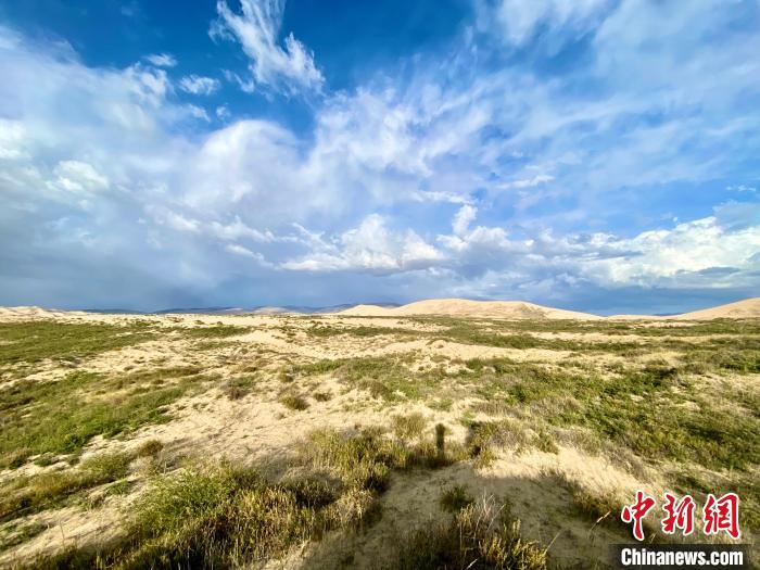 圖為關停四年后的沙島景區現狀。　李江寧 攝