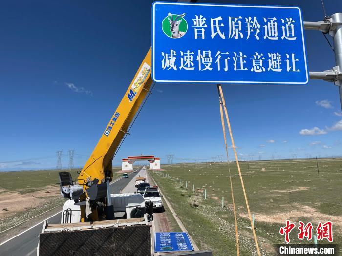 圖為青海省海北州剛察縣設立的普氏原羚通道警示牌。　青海省海北州人民檢察院供圖
