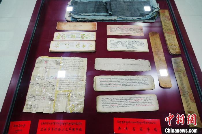 圖為藏醫(yī)古集文獻(xiàn)和藏醫(yī)臨床原始手稿。　馬銘言 攝