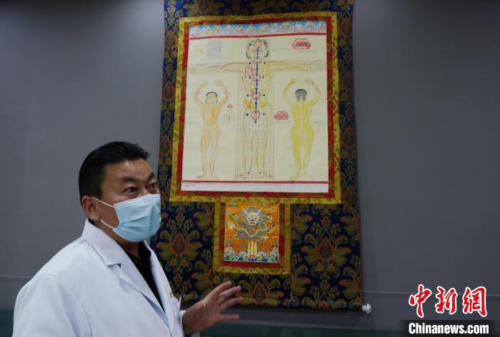 圖為興海縣藏醫(yī)院院長(zhǎng)介紹藏醫(yī)四部醫(yī)典詳實(shí)圖。　馬銘言 攝