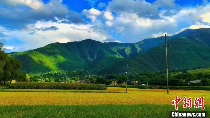 云南迪慶：鄉村旅游助力增收致富