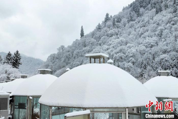 大熊貓國家公園王朗片區(qū)春雪如畫，宛若仙境。　羅春平 攝