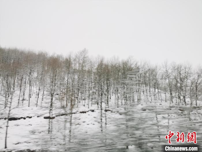 圖為青海青沙山區域被降雪覆蓋。　張添福 攝