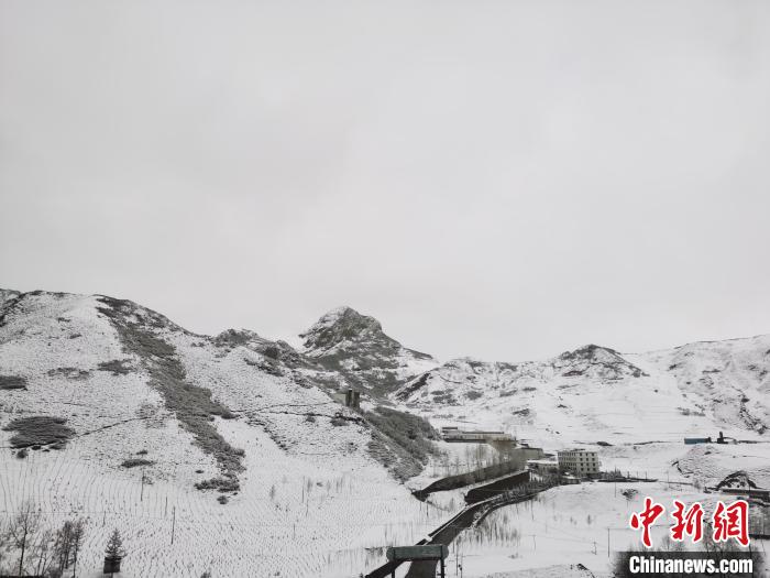 圖為青海省東南部的青沙山區域銀裝素裹。　張添福 攝
