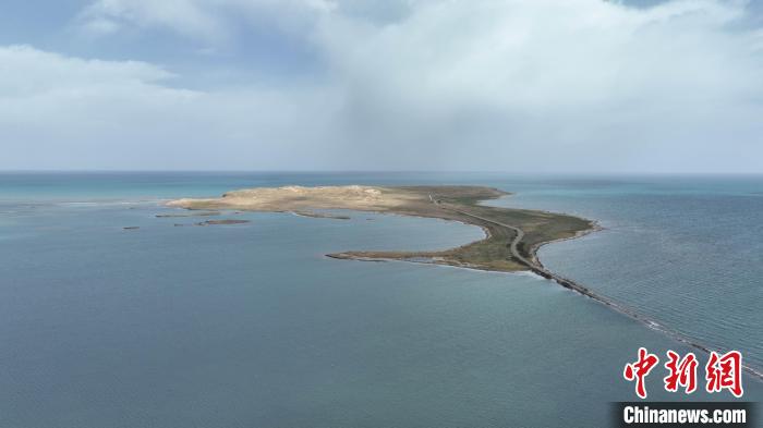青海湖開啟2023年湖中島嶼水鳥繁殖地首航監測
