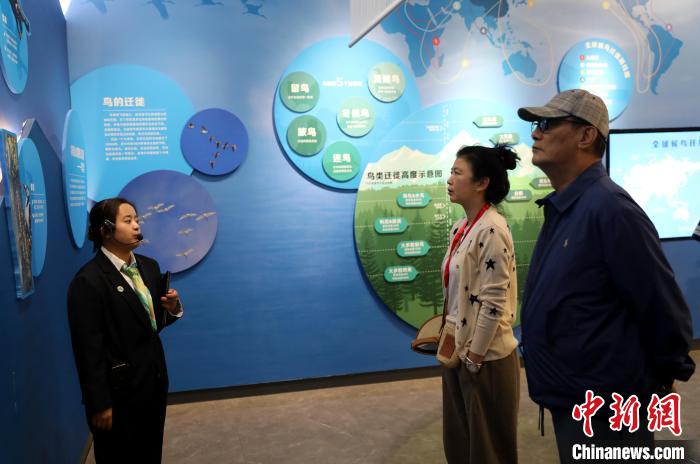 圖為臺商在祁連山國家公園生態科普館內聆聽講解?！⊙Φ?攝