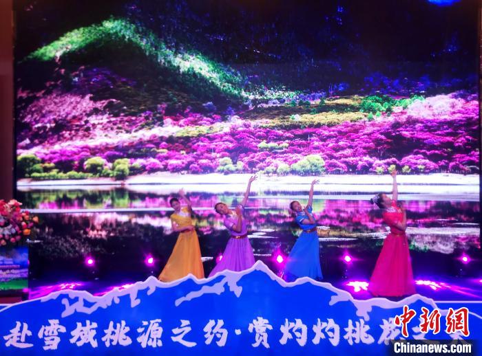 第十九屆林芝桃花旅游文化節推介會在拉薩舉行