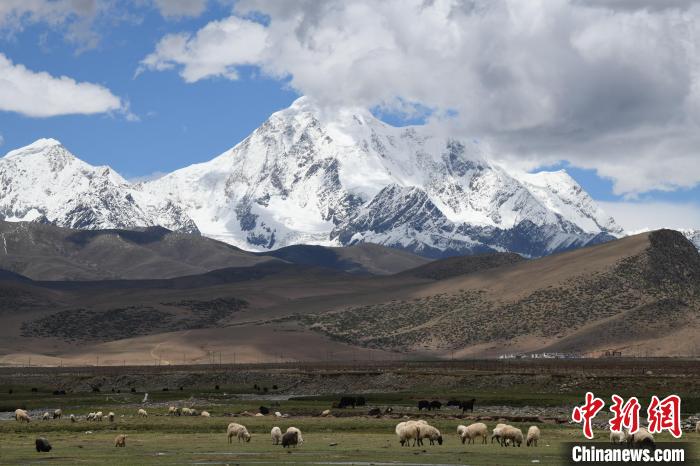 資料圖為拉薩市尼木縣境內的瓊姆崗嘎雪山?！∝暩聛硭?攝