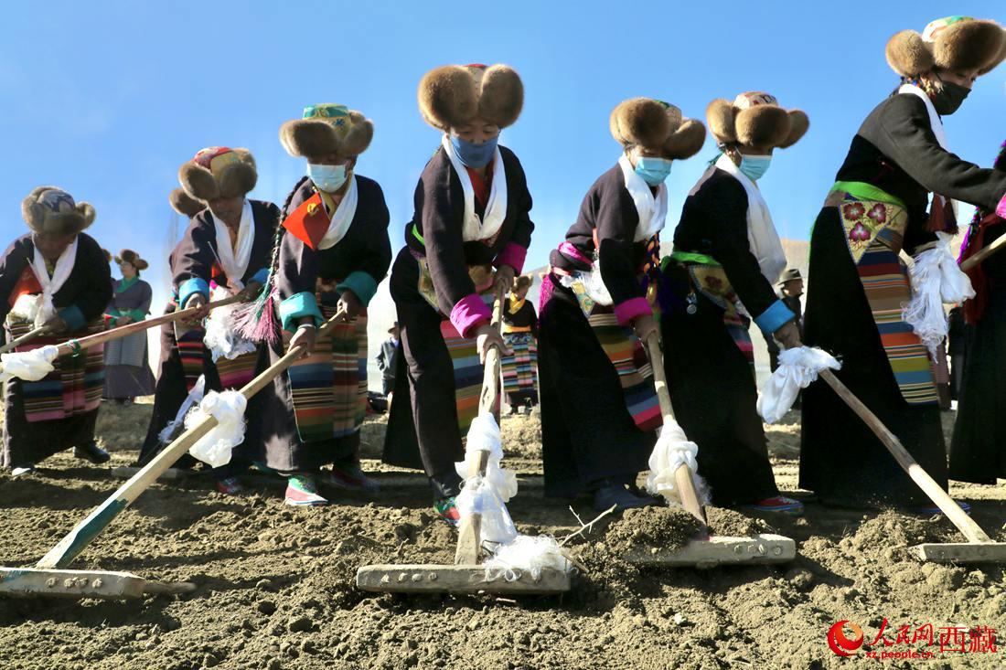 當地村民身著節日盛裝，舉行春耕儀式。人民網 次仁羅布攝