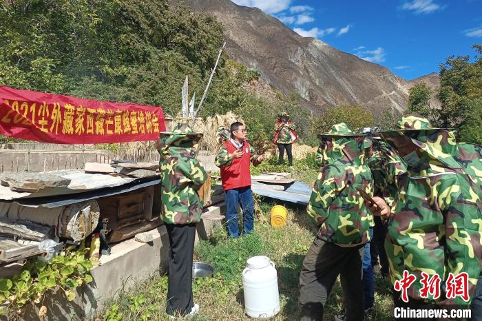 西藏芒康瀾滄江畔的“甜蜜”產業