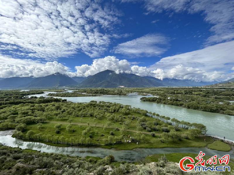 我們的家園丨雅尼國家濕地公園：荒草灘“換裝”綠水青山 生態游送來“金山銀山”