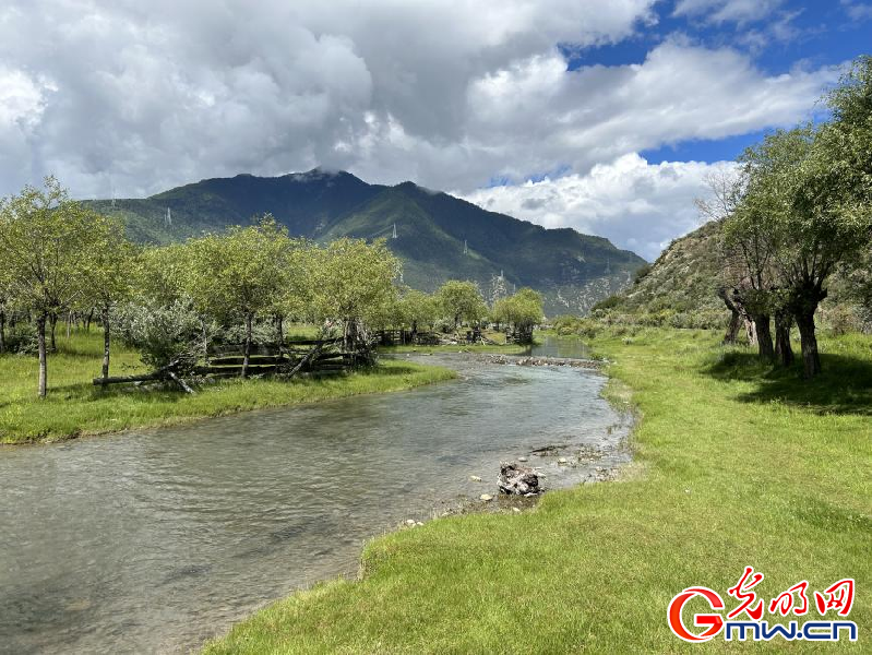 我們的家園丨雅尼國家濕地公園：荒草灘“換裝”綠水青山 生態游送來“金山銀山”