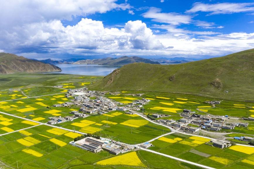 航拍道布龍村，依山傍水，阡陌縱橫。