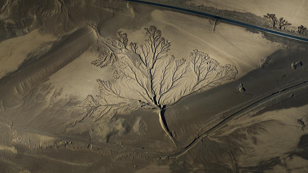 無人機視角下的西藏阿里地區改則縣“大地之樹”景觀。尼瑪多吉攝